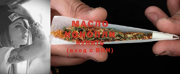 индика Балабаново