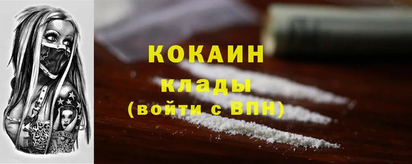 индика Балабаново