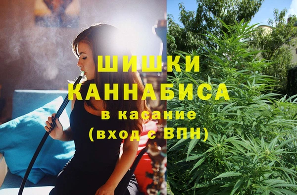 индика Балабаново