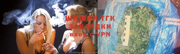 индика Балабаново